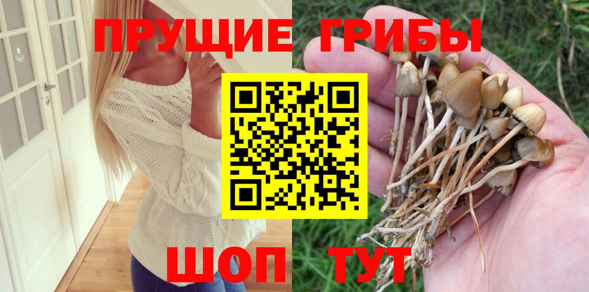 Меф кристаллы  Мефедрон  ГАШИШ  MDMA  Керчь  Вход с VPN  Бошки Шишки  Cocaine  МЕТАМФЕТАМИН 