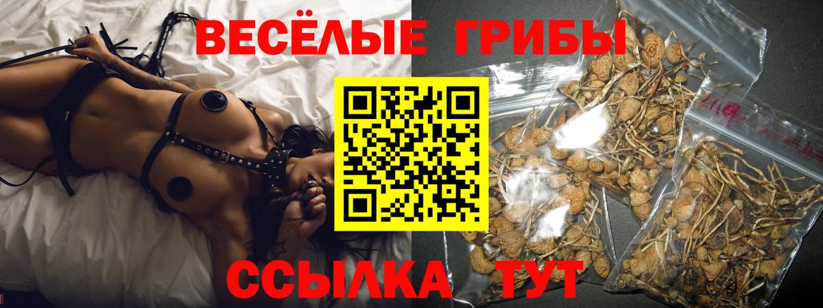 Псилоцибиновые грибы MAGIC MUSHROOMS  Вход с VPN  Керчь 